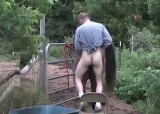Horse in the sexiest animality XXX