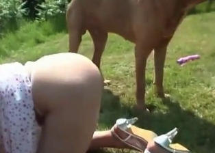 Astonishing wanton dicked by doggy