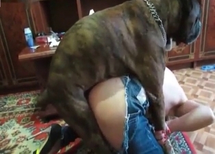 Zoophilic porn action with awesome bitches