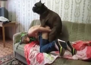 Zoophilic porn action with awesome bitches