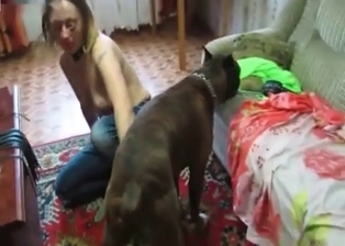 Zoophilic porn action with awesome bitches