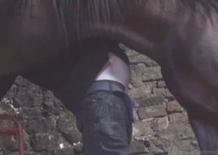 Stallion cums a huge load in zoophile ass
