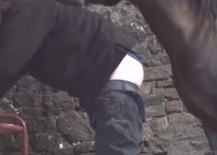 Stallion cums a huge load in zoophile ass