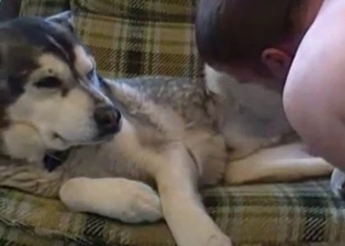 Poor doggy is cheered up by a passionate handjob