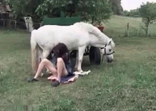 Stallion sucked by a hot young babe
