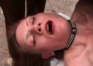 Horse fucks in the missionary pose