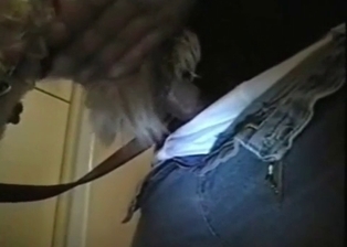 Dog licks a dick of a farmer
