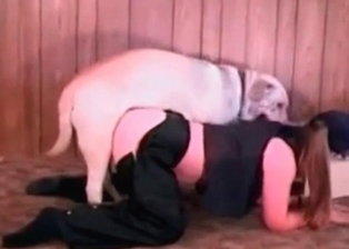Angelic lass drilled by trained pooch