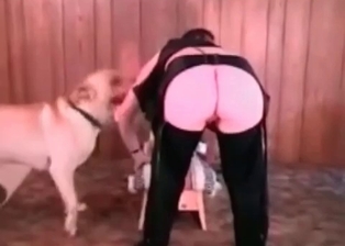 Angelic lass drilled by trained pooch