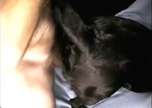 POV anal sex with me and my lovely doggy