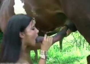 Horse sucked by a slutty brunette
