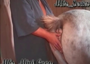 Farm animal likes anal stimulation