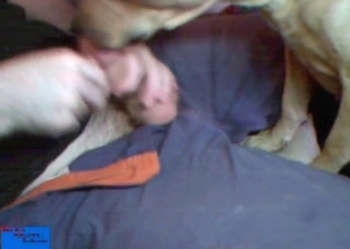 Hard boner licked by sexy doggy