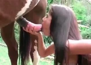 Giant dick of a stallion in a tight cunt