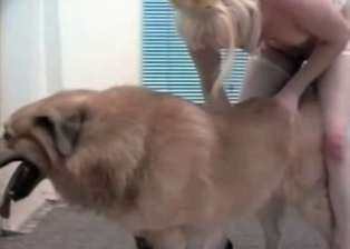 Mongrel and sexy lady are enjoying bestiality
