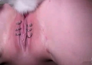 Sexy ladies are getting banged by animal