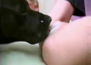 Black dog licks her little snatch