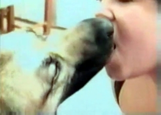 Dog dick sucked by a hot female