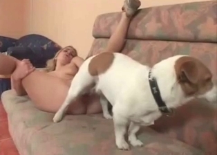 Sexy dog licks a blonde pussy