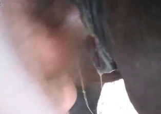 Horse cums inside of her pussy