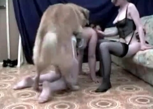 Tight cunt nicely drilled by doggy
