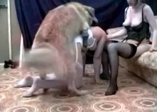 Tight cunt nicely drilled by doggy
