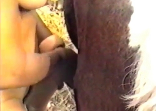 Sexy bitch craves horse dick so much