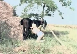 Pony likes dirty and nasty bestiality sex