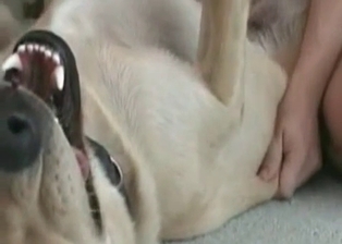 Nasty animality XXX with my sexy doggy