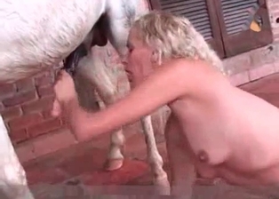 Stallion and a curly haired hooker