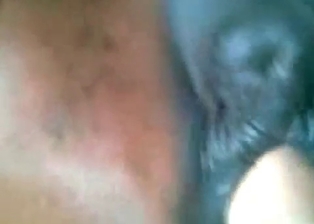 Sticking my hand in horse asshole