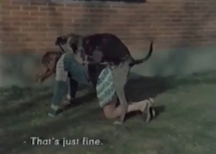 Lovely woman pumped by dog
