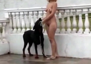 Slutty girl is losing virginity with a dog