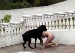 Slutty girl is losing virginity with a dog