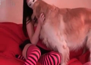 Dog licks masked female slut