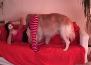 Dog licks masked female slut