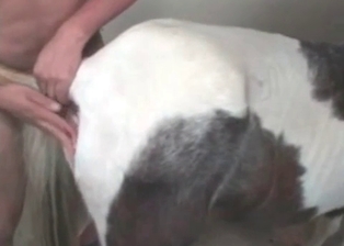 Horse ass licked by Latina slut