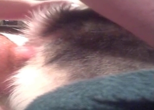 Anal action featuring my lovely doggy