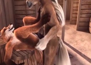 Horse prick looks amazingly suckable