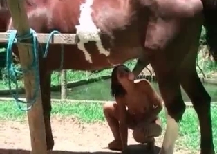 Zoo slut licks and sucks a big horse dick