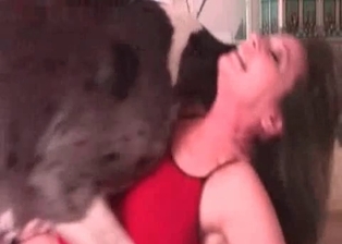 Lady adores mongrel prick in her cunt