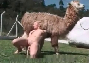 Lusty whore and farm animal