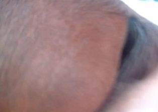 Colt nicely banged by male zoophile