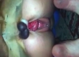 Dirty and perverted bestiality porn