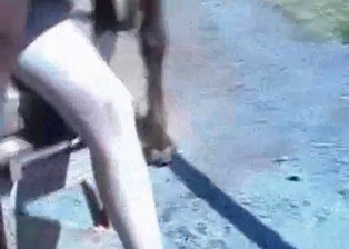 Stallion dick is what I am looking for