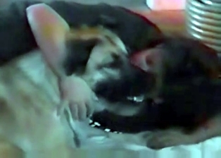 BBW zoophile trains her dog