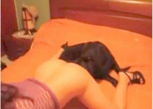 Wife and dog in amazing oral bestiality XXX