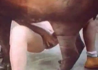 Horse and filthy hookers in the barn