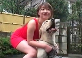 Nice dick of a hound looks awesome
