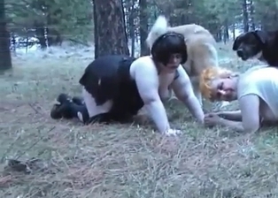 Fat zoophile and dog in perfect zoophilia XXX